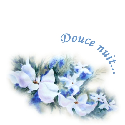 bonne nuit a demain