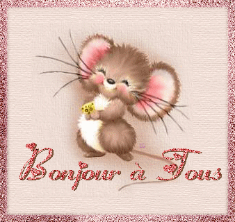 bonjour a tous